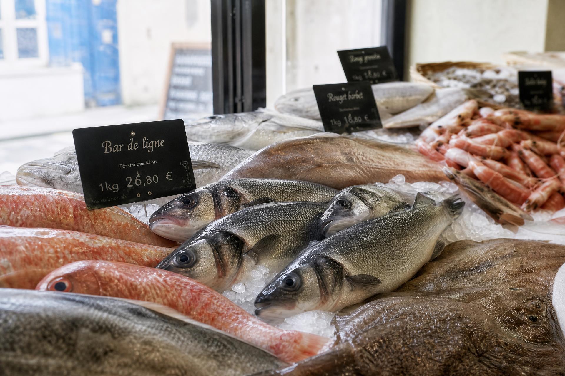 La Criée — Plateau de produits de la mer frais pour restaurants